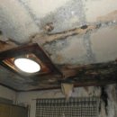 회원동234 이미지