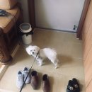 백동물병원 이미지