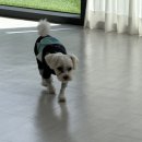 은평국제유치원 이미지