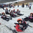 용화초등학교 이미지