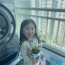천재글쓰기 | 밀크티아이 9개월후기 | 학습 전후 비교, 아이 글쓰기 성장 기록