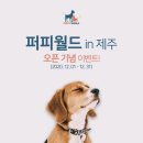 퍼피월드제주 이미지