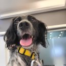 내포동물의료센터 이미지