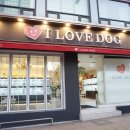 순하농장 | 수원애견분양 확실히 비교가 된다는 고객반응