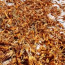 (주)자양 이미지