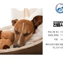 인덕원동물의료센터 이미지