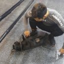 헤라복싱클럽 이미지