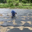 영걸농장 이미지