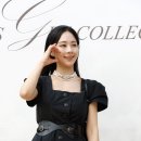 미스지콜렉션 스타데일리뉴스 