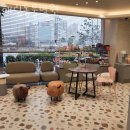 해림동물병원 | 인천 작전동 동물병원 해림동물병원 진료시간 접근성 이용후기