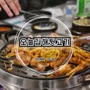 유가네뒷고기 - 서구 가정로 252 | 창원 상남동 뒷고기 맛집 회식하기 좋은 오늘김해뒷고기