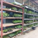 대명농자재 이미지