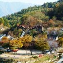 여우재산장 이미지