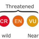 한국해양수산개발원(KMI) 이미지