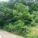 광천읍 매현마을회관 이미지