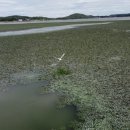 옥구저수지 이미지