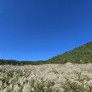 길인목장 | 제주 가을 여행 억새, 바다, 휴식