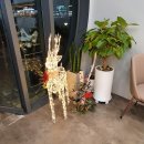 옵시크(OPCHIC) | 문정 법조단지 안경점 옵시크에서 급하게 안경 맞추기