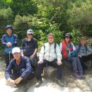 우면산5-14 이미지