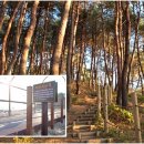 백도까페 펜션 이미지