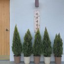 하씨네민박 이미지