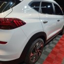 1급신세기자동차 이미지