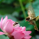 보석사로 이미지