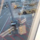 서귀포제이에스(JS) | 제이에스제주도ㆍ마라도 여행패키지 후기