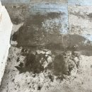 덕풍마루 | 상가 구멍난 마루 바닥 메꿈 평탄화 부분 복원