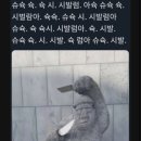 하대동176 | 진주레터링케이크 '온하루케이크' 에서 기념일 케이크 주문했어요