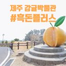 신효동-13 네이버블로그
