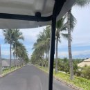 스타비치 이미지