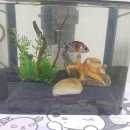 광원수족관 이미지