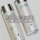 안티에이징화장품 셀레스코리아 아주 솔직한 후기임
