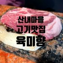 [파주맛집] 운정 산내마을 초대형 구워주는 고기집 &#34;육미향&#34; 가족 및 단체 모임으로 추천!