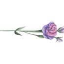 아리울초교2 이미지