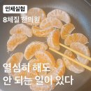벧엘한의원 네이버블로그