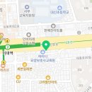 마포 요미독앤캣 강아지분양 고양이분양 이미지