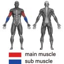 하이핏짐 이미지