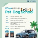 펫도그 애견스쿨 이미지