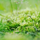 대지-생명 이미지