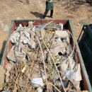 행운카센타 이미지