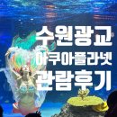 공주-24 | 아쿠아플라넷 광교 방문후기 | 수원 아쿠아리움 24개월 아이 추천 (feat. 인어공주쇼)