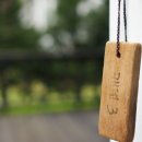 심스캐빈 이미지