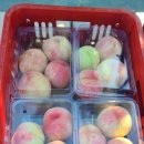 상왕농장 이미지