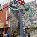 우리가 가꾸는 꽃길 이미지