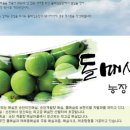 어물농장 이미지