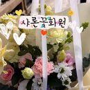 샤론  꽃  화원 이미지