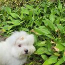 강남플러스약국 이미지