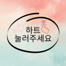 러플갤러리